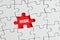 The word risk written on red missing puzzle piece. To discover or expose the hidden or underlying risks