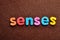 The word senses