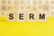 Word SERM is written on wooden cubes on a bright yellow surface, concept