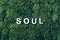 Word SOUL on moss, green grass background. Top view. Copy space. Banner. Biophilia concept. Nature backdrop. Body, mind