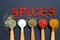 The word spice is written on a black background. Various spices ground turmeric pepper ginger cinnamon herb seasoning salt paprika