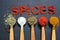 The word spice is written on a black background. Various spices ground turmeric pepper ginger cinnamon herb seasoning salt paprika