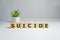 word suicide text spelled on wooden cubes, on white background