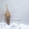 The word SUMMER on a gray and white background with a bouquet of pampas grass and long romantic shadows.