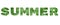 The word `Summer`. Green inscription on white background.