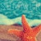 Word summer and a starfish in the seashore