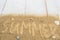 Word `summer` writing on sand with shells over white wooden back