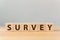 The word SURVEY on wooden cube block on wood table