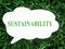 The word sustainability on a small board lying on the green grass.