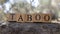 The word TABOO was created from wooden blocks. Sociology and life.