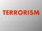 The word TERRORISM in mirror reflection