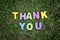 Word thank you spell using colorful alphabet block