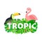 Word TROPIC composition with jungle leaves flower toucan flamingo on white background in paper cut style. White letters