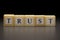 The word TRUST written on wooden cubes isolated on a black background