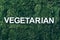 Word Vegetarian on moss, green grass background. Top view. Copy space. Banner. Biophilia concept. Nature backdrop