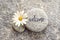 Word Welcome written on a stone with a daisy