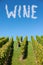 Word wine in cloud letter in the blue sky over a vineyard