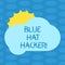 Word writing text Blue Hat Hacker. Business concept for Person consulting firms who bug system prior to its launch Sun