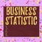 Word writing text Business Statistic. Business concept for science of accurate and very quick decision makings Square rectangle