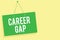 Word writing text Career Gap. Business concept for A scene where in you stop working by your profession for a while Green board wa