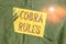 Word writing text Cobra Rules. Business concept for continuing group health insurance coverage after a job loss Writing