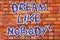 Word writing text Dream Like Nobody. Business concept for wish for bigger things goals than everyone on planet Brick