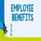Word writing text Employee Benefits. Business concept for Indirect and noncash compensation paid to an employee Back