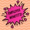 Word writing text Employee Benefits. Business concept for list of advantage recruiter get at work Insurance.