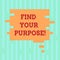 Word writing text Find Your Purpose. Business concept for life goals Career Searching educate knowing possibilities Blank Color