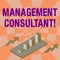 Word writing text Management Consultant. Business concept for gives professional advice about how to run a company