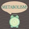 Word writing text Metabolism. Business concept for Chemical processes in body to produce energy food processing Round