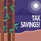 Word writing text Tax Savings. Business concept for means that you pay reduced amount of taxes than normal Colorful Sets