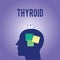 Word writing text Thyroid. Business concept for Gland in neck Secretes hormones regulating growth and development