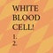 Word writing text White Blood Cell. Business concept for Leucocytes in charge of protect body from infections