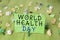 Word writing text World Health Day. Business concept for global health awareness day celebrated every year on 7 April
