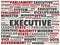 Wordcloud with the main word executive and associated words, abstract illustration