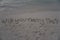 Wording `Will you marry me?` which hand writing on sand with sea background