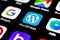 Wordpress application icon on Apple iPhone X screen close-up. Wordpress app icon. Wordpress.com application. Social network