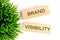 Words Brand visibility on wooden blocks on a white background with a green plant out of focus