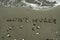 Words Don`t Worry on beach sand