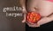 Words GENITAL HERPES. Young pregnant between 30 and 35 years old woman keeps rose blossom close to  her belly in the background