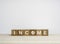 Words `INCOME` with saving money icon symbol on wooden cube blocks on wood table.