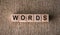 Words - word written on wooden cubes. Words concept