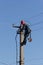 work electrician on top of a pole mount a new line of electrical wires against a blue sky