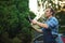 Work in the garden: Concentrated professional male gardener is trimming, pruning and shaping boxwood, using hedge shears