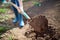 Work in a garden - Digging Spring Soil With Spading fork