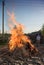 Work in the garden. Farmer burning dried branches