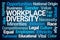 Work Place Diversity Word Cloud