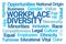 Work Place Diversity Word Cloud