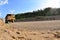 Work truck in the quarryon transportation of sand. Extraction of minerals